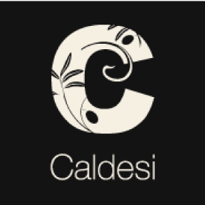 Logo Caldesi